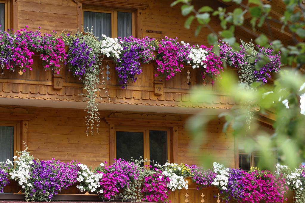Appartement Alpenecho à Neustift im Stubaital Extérieur photo