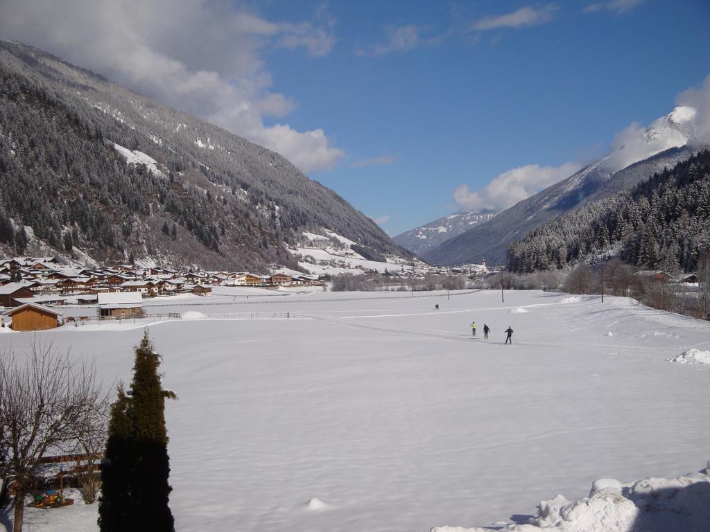 Appartement Alpenecho à Neustift im Stubaital Extérieur photo