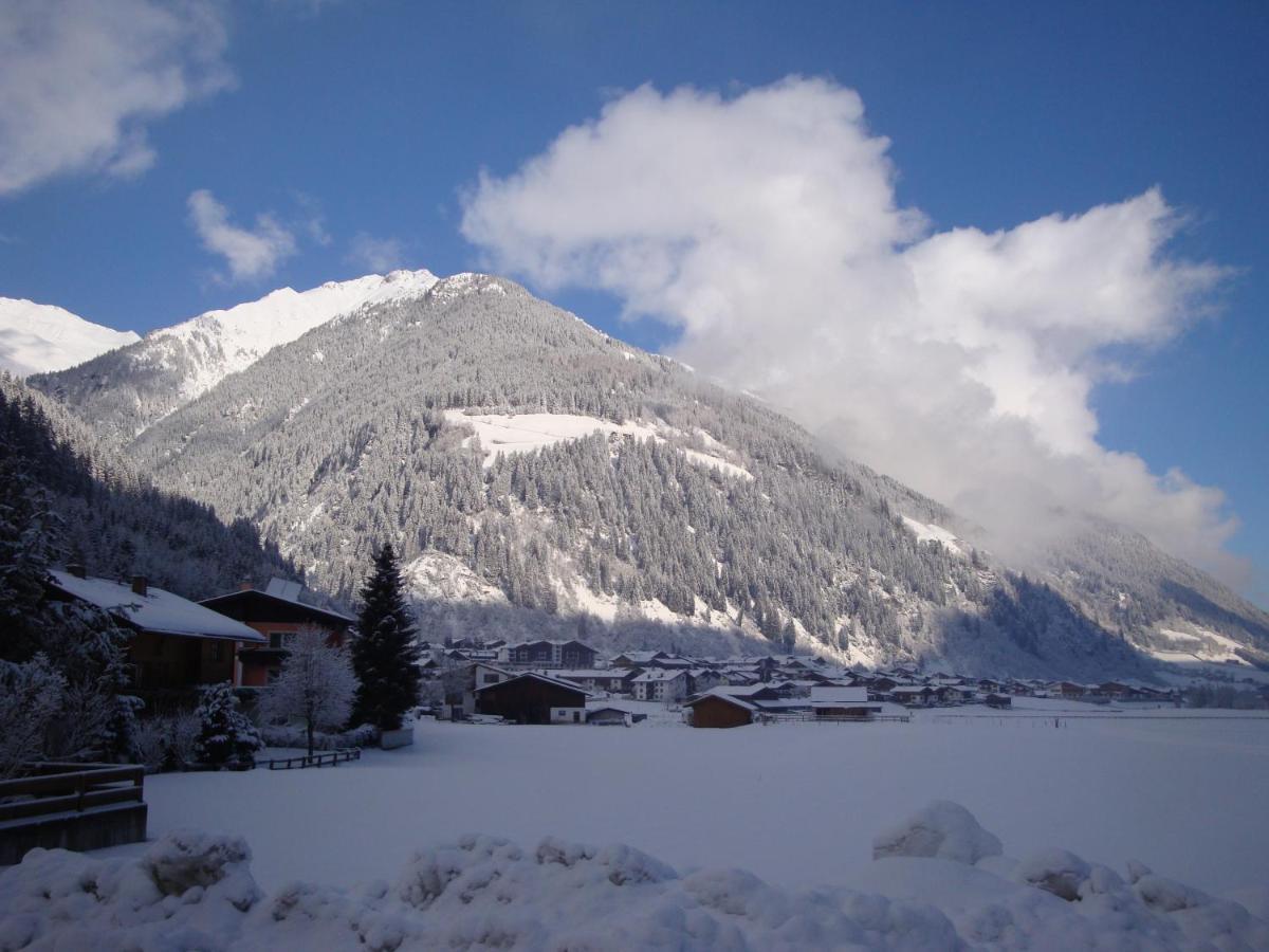 Appartement Alpenecho à Neustift im Stubaital Extérieur photo